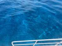 Great day of scuba diving in Key Largo with Rainbow Reef on conch wall north tropical serenity 2024 07 10 r16033 1