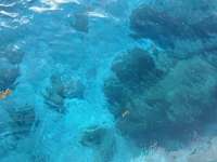 Great day of scuba diving in Key Largo with Rainbow Reef on eagle ray alley tropical legend 2024 07 28 r16173 1
