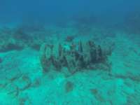 Great day of scuba diving in Key Largo with Rainbow Reef on hole in the wall tropical destiny 2024 07 25 r16154 2