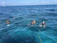 Great day of scuba diving in Key Largo with Rainbow Reef on hole in the wall tropical legend 2024 07 03 r15972 1