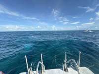 Great day of scuba diving in Key Largo with Rainbow Reef on molasses reef tropical legend 2024 07 17 r16083 1