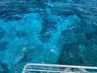 Great day of scuba diving in Key Largo with Rainbow Reef on molasses reef tropical legend 2024 07 28 r16178 1
