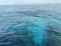 Great day of scuba diving in Key Largo with Rainbow Reef on molasses reef tropical serenity 2024 07 10 r16027 1