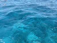 Great day of scuba diving in Key Largo with Rainbow Reef on permit ledges tropical destiny 2024 07 20 r16114 1