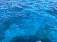 Great day of scuba diving in Key Largo with Rainbow Reef on snapper ledge tropical legend 2024 07 12 r16043 1