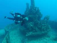 Great day of scuba diving in Key Largo with Rainbow Reef on spiegel grove tropical destiny 2024 07 26 r16157 3
