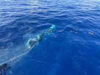 Great day of scuba diving in Key Largo with Rainbow Reef on spiegel grove tropical odyssey 2024 07 06 r16001 1