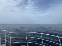 Great day of scuba diving in Key Largo with Rainbow Reef on spiegel grove tropical odyssey 2024 07 10 r16029 1