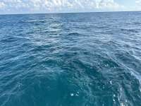 Great day of scuba diving in Key Largo with Rainbow Reef on benwood wreck tropical serenity 2024 06 09 r15819 1