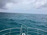 Great day of scuba diving in Key Largo with Rainbow Reef on crf nursery tropical legend 2024 06 13 r15848 1