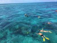 Great day of scuba diving in Key Largo with Rainbow Reef on double north tropical serenity 2024 06 28 r15944 1