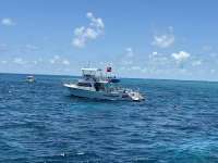 Great day of scuba diving in Key Largo with Rainbow Reef on eagle ray alley tropical legend 2024 06 06 r15796 1