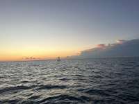 Great day of scuba diving in Key Largo with Rainbow Reef on eagle ray alley tropical odyssey 2024 06 06 r15800 1