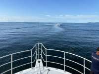 Great day of scuba diving in Key Largo with Rainbow Reef on eagle ray alley tropical serenity 2024 06 08 r15811 1