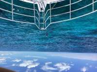 Great day of scuba diving in Key Largo with Rainbow Reef on eagle ray alley tropical serenity 2024 06 08 r15818 1