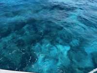 Great day of scuba diving in Key Largo with Rainbow Reef on fire coral cave tropical odyssey 2024 06 21 r15891 1