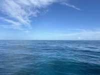 Great day of scuba diving in Key Largo with Rainbow Reef on french twist tropical serenity 2024 06 28 r15939 1
