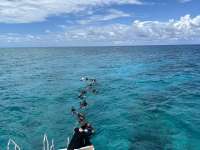 Great day of scuba diving in Key Largo with Rainbow Reef on hole in the wall tropical destiny 2024 06 09 r15820 1