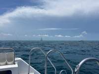 Great day of scuba diving in Key Largo with Rainbow Reef on jjs cave tropical destiny 2024 06 07 r15806 1