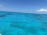 Great day of scuba diving in Key Largo with Rainbow Reef on logans run tropical destiny 2024 06 09 r15826 1