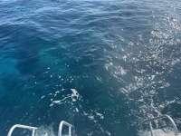 Great day of scuba diving in Key Largo with Rainbow Reef on molasses reef tropical destiny 2024 06 06 r15793 1