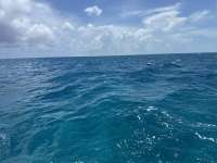Great day of scuba diving in Key Largo with Rainbow Reef on molasses reef tropical destiny 2024 06 20 r15886 1