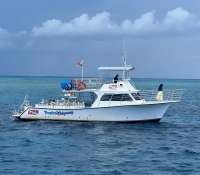 Great day of scuba diving in Key Largo with Rainbow Reef on molasses reef tropical legend 2024 06 13 r15845 1