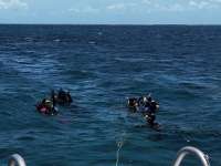Great day of scuba diving in Key Largo with Rainbow Reef on snapper ledge tropical destiny 2024 06 01 r15753 1