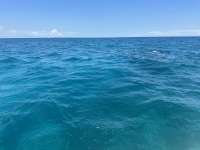 Great day of scuba diving in Key Largo with Rainbow Reef on snapper ledge tropical serenity 2024 06 09 r15824 1