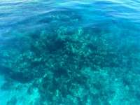 Great day of scuba diving in Key Largo with Rainbow Reef on uscgc duane tropical odyssey 2024 06 17 r15877 1