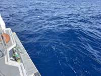 Great day of scuba diving in Key Largo with Rainbow Reef on uscgc duane tropical odyssey 2024 06 21 r15889 1