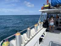 Great day of scuba diving in Key Largo with Rainbow Reef on french reef tropical serenity 2024 03 14 r15257 1