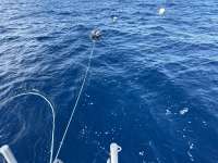 Great day of scuba diving in Key Largo with Rainbow Reef on spiegel grove tropical legend 2024 03 20 r15287 1