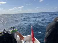 Great day of scuba diving in Key Largo with Rainbow Reef on uscgc duane tropical serenity 2024 03 14 r15254 1
