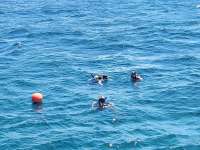 Great day of scuba diving in Key Largo with Rainbow Reef on benwood wreck tropical serenity 2024 05 31 r15742 1