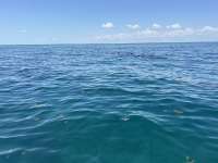Great day of scuba diving in Key Largo with Rainbow Reef on christ statue tropical serenity 2024 05 27 r15712 1