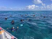 Great day of scuba diving in Key Largo with Rainbow Reef on elbow reef tropical serenity 2024 05 03 r15514 1