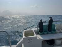 Great day of scuba diving in Key Largo with Rainbow Reef on french reef tropical serenity 2024 05 15 r15609 1