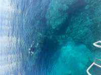 Great day of scuba diving in Key Largo with Rainbow Reef on molasses reef tropical serenity 2024 05 30 r15728 1