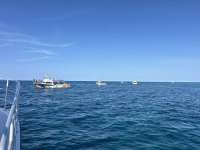 Great day of scuba diving in Key Largo with Rainbow Reef on north star tropical serenity 2024 05 25 r15681 1