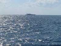 Great day of scuba diving in Key Largo with Rainbow Reef on north star tropical serenity 2024 05 31 r15736 1