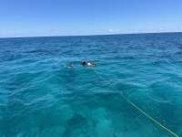 Great day of scuba diving in Key Largo with Rainbow Reef on snapper ledge tropical destiny 2024 05 23 r15674 1