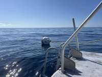 Great day of scuba diving in Key Largo with Rainbow Reef on spiegel grove tropical odyssey 2024 05 24 r15676 1