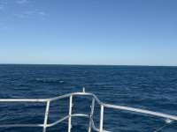 Great day of scuba diving in Key Largo with Rainbow Reef on benwood wreck tropical destiny 2024 11 24 r16952 1