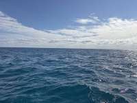 Great day of scuba diving in Key Largo with Rainbow Reef on christmastree cave tropical destiny 2024 11 24 r16957 1