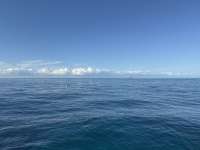 Great day of scuba diving in Key Largo with Rainbow Reef on fire coral cave tropical legend 2024 11 29 r17017 1