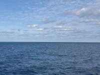 Great day of scuba diving in Key Largo with Rainbow Reef on hourglass tropical destiny 2024 11 24 r16960 1