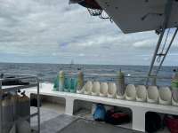 Great day of scuba diving in Key Largo with Rainbow Reef on logans run tropical odyssey 2024 11 17 r16919 1