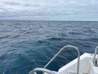 Great day of scuba diving in Key Largo with Rainbow Reef on molasses reef tropical destiny 2024 11 21 r16932 1