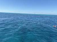 Great day of scuba diving in Key Largo with Rainbow Reef on nine channel tropical destiny 2024 11 26 r16984 1